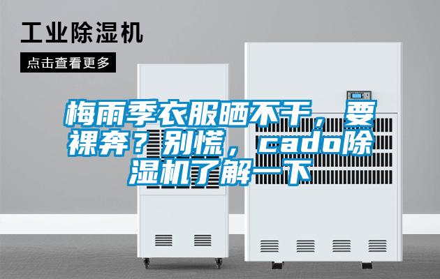 梅雨季衣服曬不干，要裸奔？別慌，cado除濕機(jī)了解一下