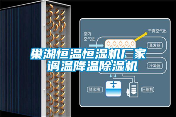 巢湖恒溫恒濕機廠家 調(diào)溫降溫除濕機