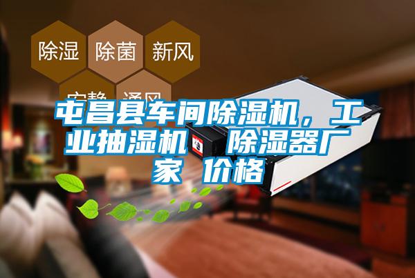 屯昌縣車間除濕機，工業(yè)抽濕機  除濕器廠家 價格