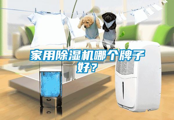 家用除濕機(jī)哪個牌子好？