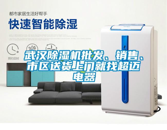 武漢除濕機批發(fā)、銷售、市區(qū)送貨上門就找超邁電器