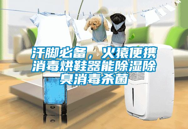汗腳必備，火猿便攜消毒烘鞋器能除濕除臭消毒殺菌