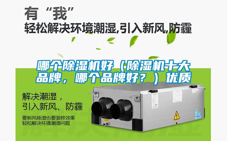 哪個(gè)除濕機(jī)好（除濕機(jī)十大品牌，哪個(gè)品牌好？）優(yōu)質(zhì)
