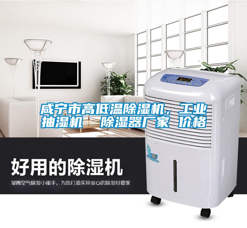 咸寧市高低溫除濕機，工業(yè)抽濕機  除濕器廠家 價格