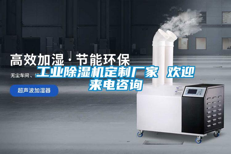 工業(yè)除濕機定制廠家 歡迎來電咨詢