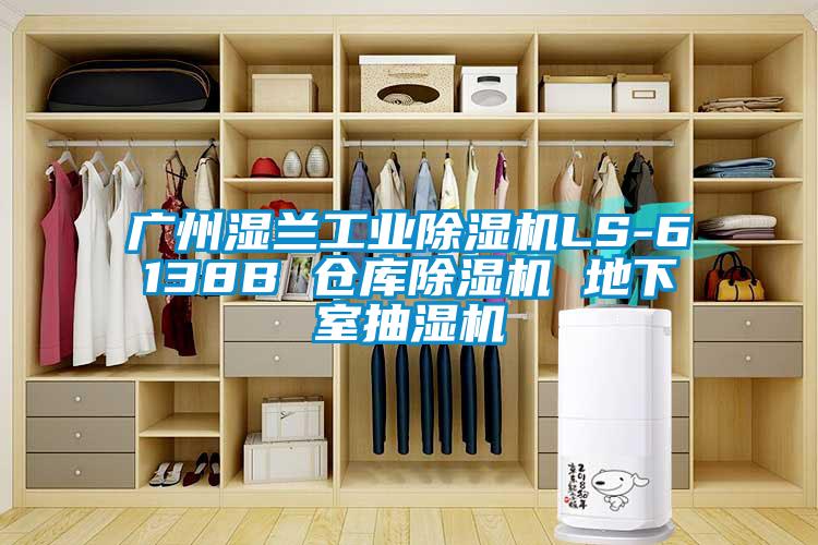 廣州濕蘭工業(yè)除濕機LS-6138B 倉庫除濕機 地下室抽濕機