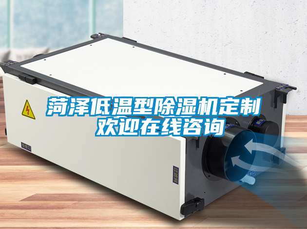 菏澤低溫型除濕機(jī)定制 歡迎在線咨詢