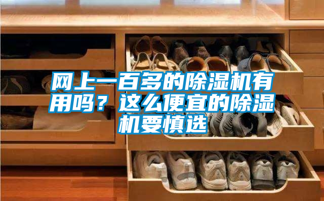 網上一百多的除濕機有用嗎？這么便宜的除濕機要慎選