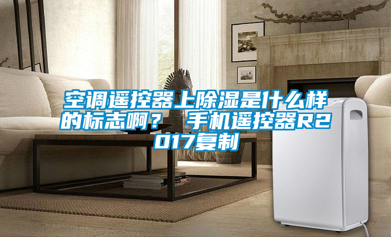 空調(diào)遙控器上除濕是什么樣的標(biāo)志啊？ 手機(jī)遙控器R2017復(fù)制