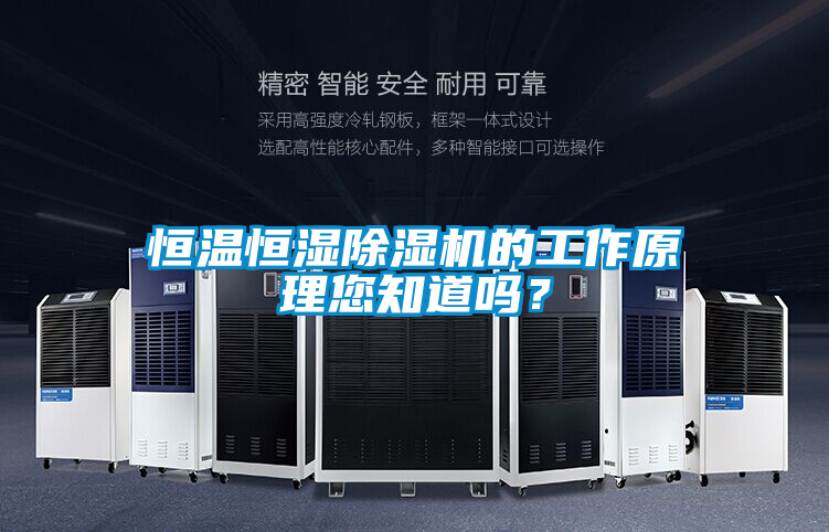 恒溫恒濕除濕機的工作原理您知道嗎？