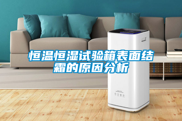 恒溫恒濕試驗箱表面結(jié)霜的原因分析