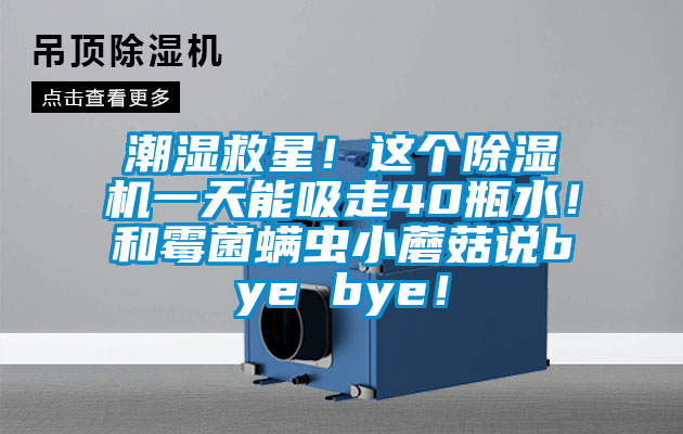 潮濕救星！這個(gè)除濕機(jī)一天能吸走40瓶水！和霉菌螨蟲小蘑菇說bye bye！