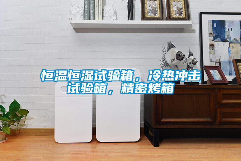 恒溫恒濕試驗箱，冷熱沖擊試驗箱，精密烤箱
