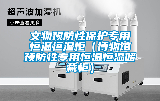 文物預(yù)防性保護(hù)專用恒溫恒濕柜（博物館預(yù)防性專用恒溫恒濕儲藏柜）