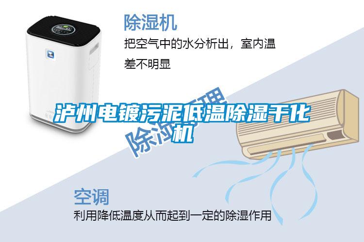 瀘州電鍍污泥低溫除濕干化機
