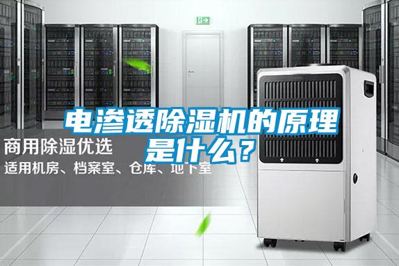 電滲透除濕機(jī)的原理是什么？