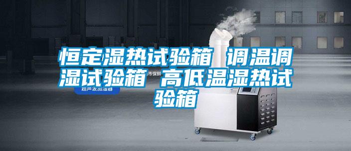 恒定濕熱試驗箱 調(diào)溫調(diào)濕試驗箱 高低溫濕熱試驗箱