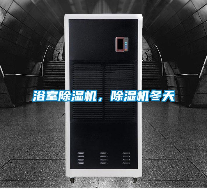 浴室除濕機(jī)，除濕機(jī)冬天