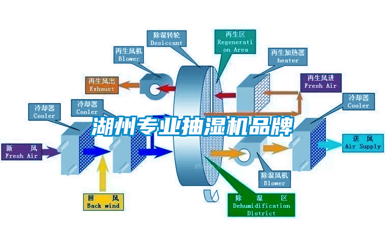 湖州專業(yè)抽濕機品牌