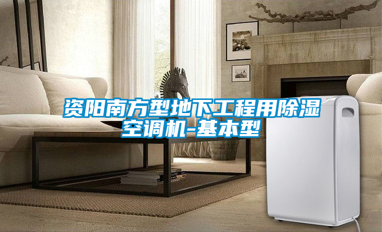 資陽南方型地下工程用除濕空調(diào)機(jī)-基本型