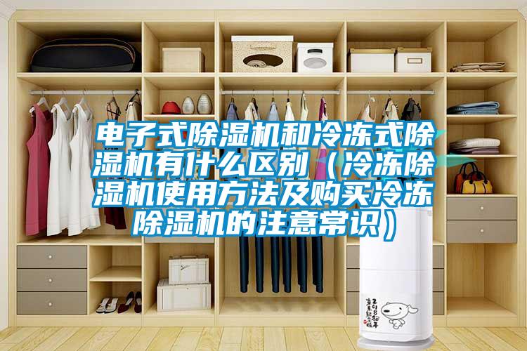 電子式除濕機(jī)和冷凍式除濕機(jī)有什么區(qū)別（冷凍除濕機(jī)使用方法及購買冷凍除濕機(jī)的注意常識）
