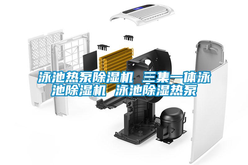 泳池?zé)岜贸凉駲C(jī) 三集一體泳池除濕機(jī) 泳池除濕熱泵