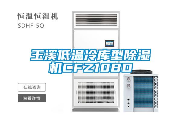 玉溪低溫冷庫型除濕機CFZ10BD