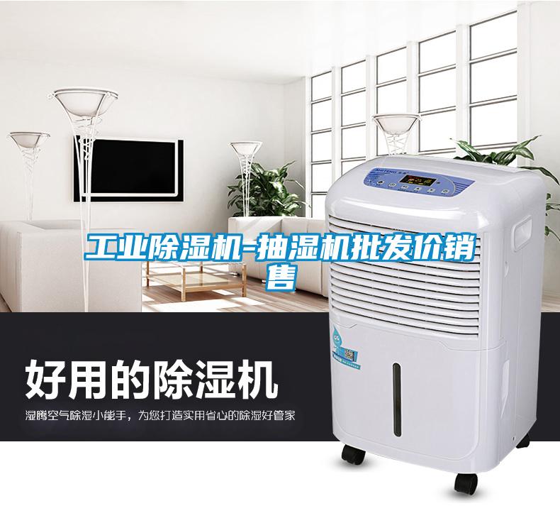 工業(yè)除濕機-抽濕機批發(fā)價銷售