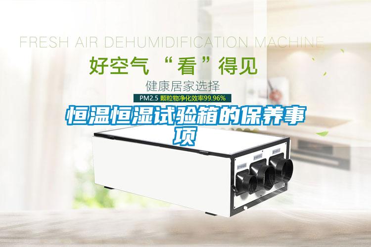 恒溫恒濕試驗(yàn)箱的保養(yǎng)事項