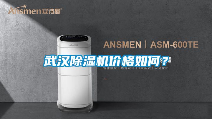 武漢除濕機價格如何？