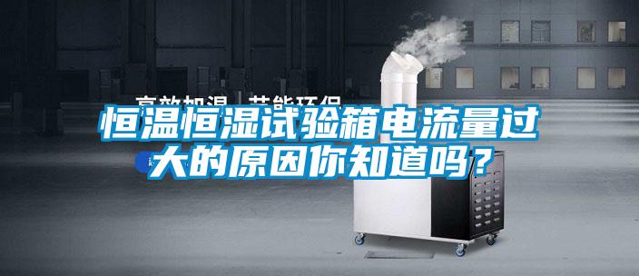 恒溫恒濕試驗(yàn)箱電流量過大的原因你知道嗎？