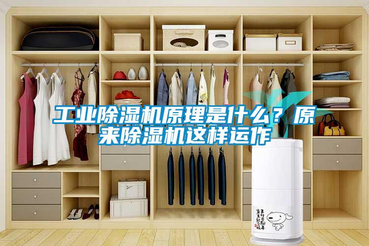 工業(yè)除濕機(jī)原理是什么？原來(lái)除濕機(jī)這樣運(yùn)作