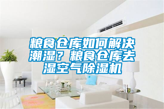 糧食倉庫如何解決潮濕？糧食倉庫去濕空氣除濕機