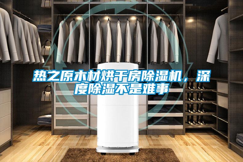 熱之原木材烘干房除濕機(jī)，深度除濕不是難事