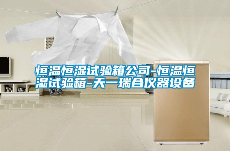 恒溫恒濕試驗箱公司-恒溫恒濕試驗箱-天一瑞合儀器設(shè)備