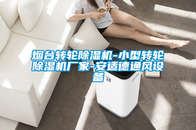 煙臺轉(zhuǎn)輪除濕機-小型轉(zhuǎn)輪除濕機廠家-安適德通風(fēng)設(shè)備