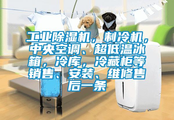 工業(yè)除濕機(jī)，制冷機(jī)，中央空調(diào)、超低溫冰箱，冷庫(kù)，冷藏柜等銷售、安裝、維修售后一條