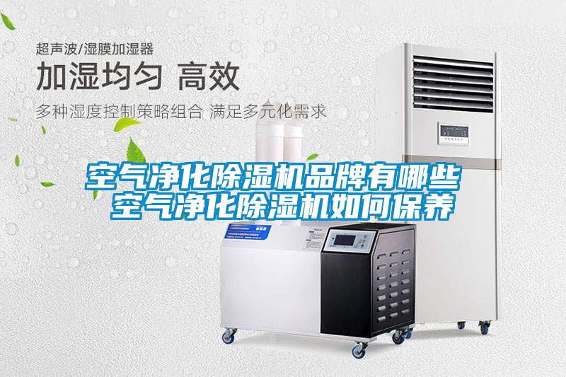 空氣凈化除濕機(jī)品牌有哪些 空氣凈化除濕機(jī)如何保養(yǎng)