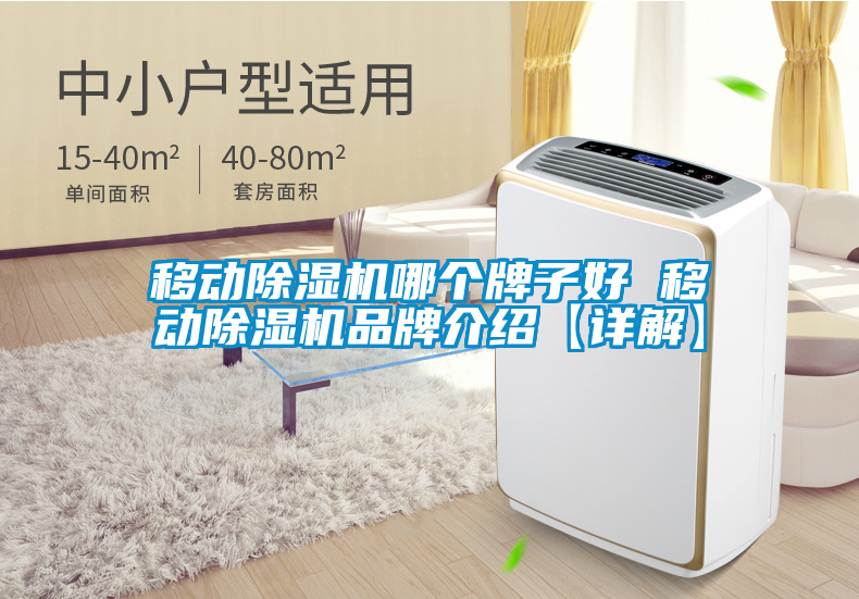 移動除濕機(jī)哪個牌子好 移動除濕機(jī)品牌介紹【詳解】