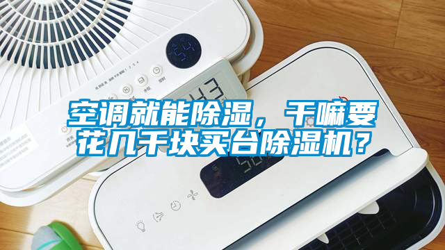 空調(diào)就能除濕，干嘛要花幾千塊買臺除濕機？