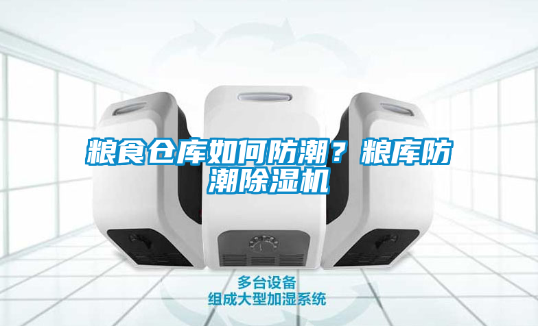 糧食倉(cāng)庫(kù)如何防潮？糧庫(kù)防潮除濕機(jī)