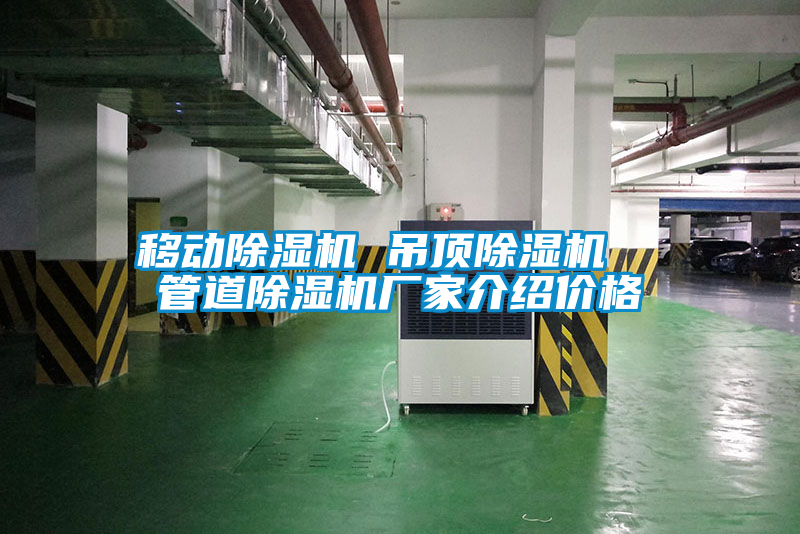 移動除濕機(jī) 吊頂除濕機(jī)  管道除濕機(jī)廠家介紹價格