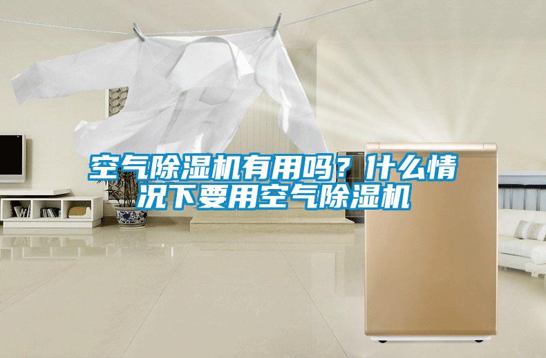 空氣除濕機有用嗎？什么情況下要用空氣除濕機