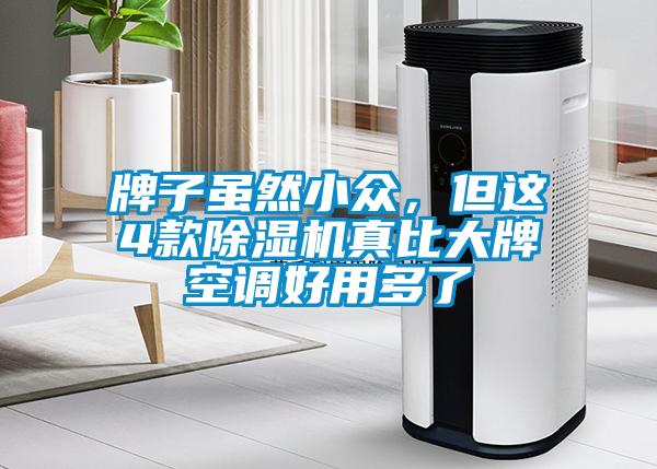 牌子雖然小眾，但這4款除濕機(jī)真比大牌空調(diào)好用多了