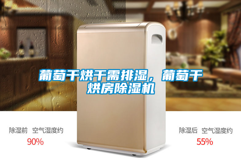 葡萄干烘干需排濕，葡萄干烘房除濕機