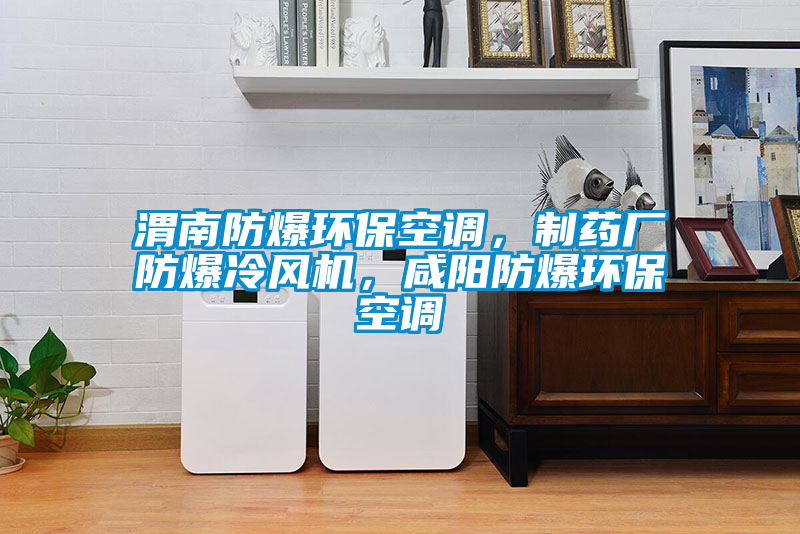 渭南防爆環(huán)?？照{(diào)，制藥廠防爆冷風(fēng)機(jī)，咸陽防爆環(huán)?？照{(diào)