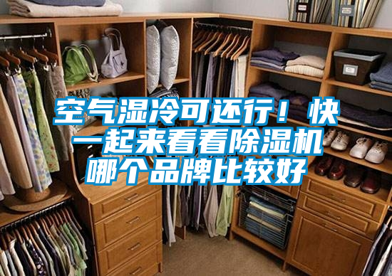 空氣濕冷可還行！快一起來看看除濕機(jī)哪個品牌比較好