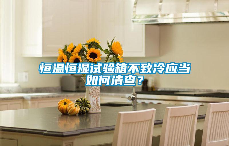 恒溫恒濕試驗箱不致冷應當如何清查？