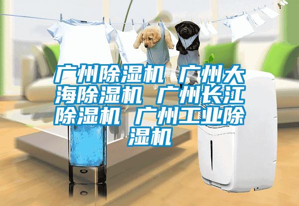 廣州除濕機(jī) 廣州大海除濕機(jī) 廣州長江除濕機(jī) 廣州工業(yè)除濕機(jī)