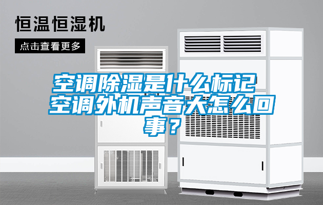 空調(diào)除濕是什么標(biāo)記 空調(diào)外機(jī)聲音大怎么回事？